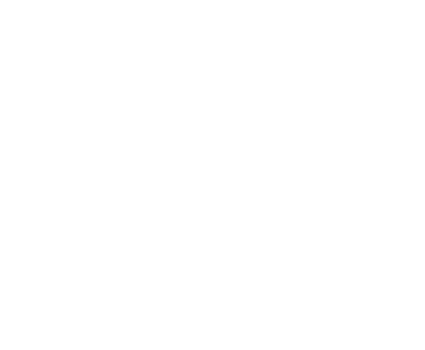 GeoMercado Logo